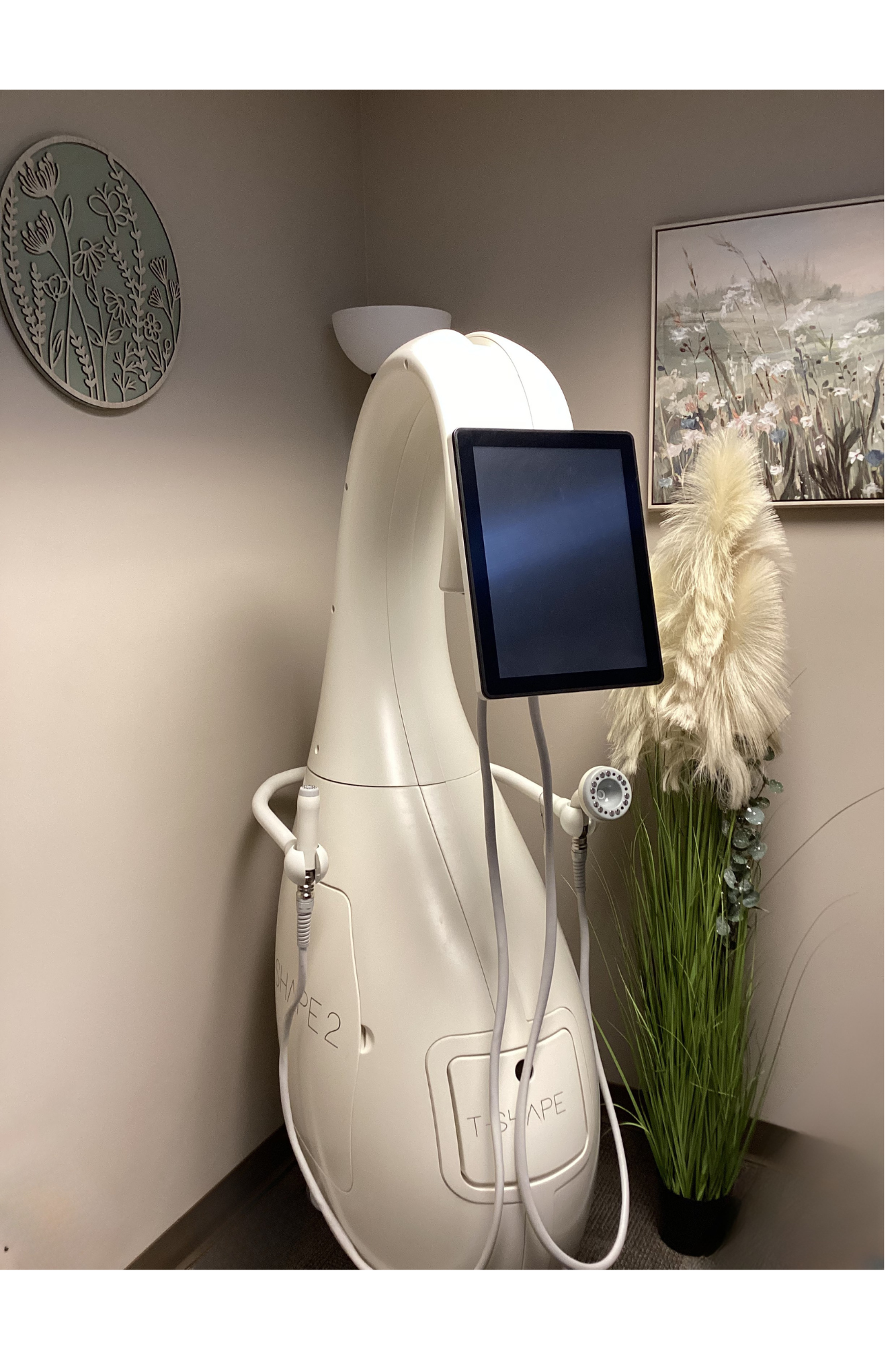 Harmony Hormone Solutions - A white body composition analyzer machine with a mounted screen stands in the corner of an office, next to a plant and framed wall art.
