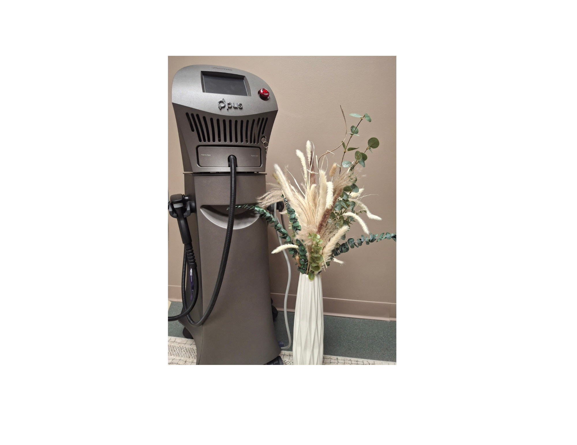 Harmony Hormone Solutions - Tall electric vehicle charging station beside a white vase containing assorted dried grasses and greenery, set against a beige wall.